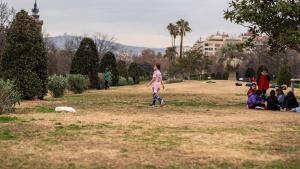 Árboles en un parterre seco en el parque de la Ciutadella, en Barcelona.