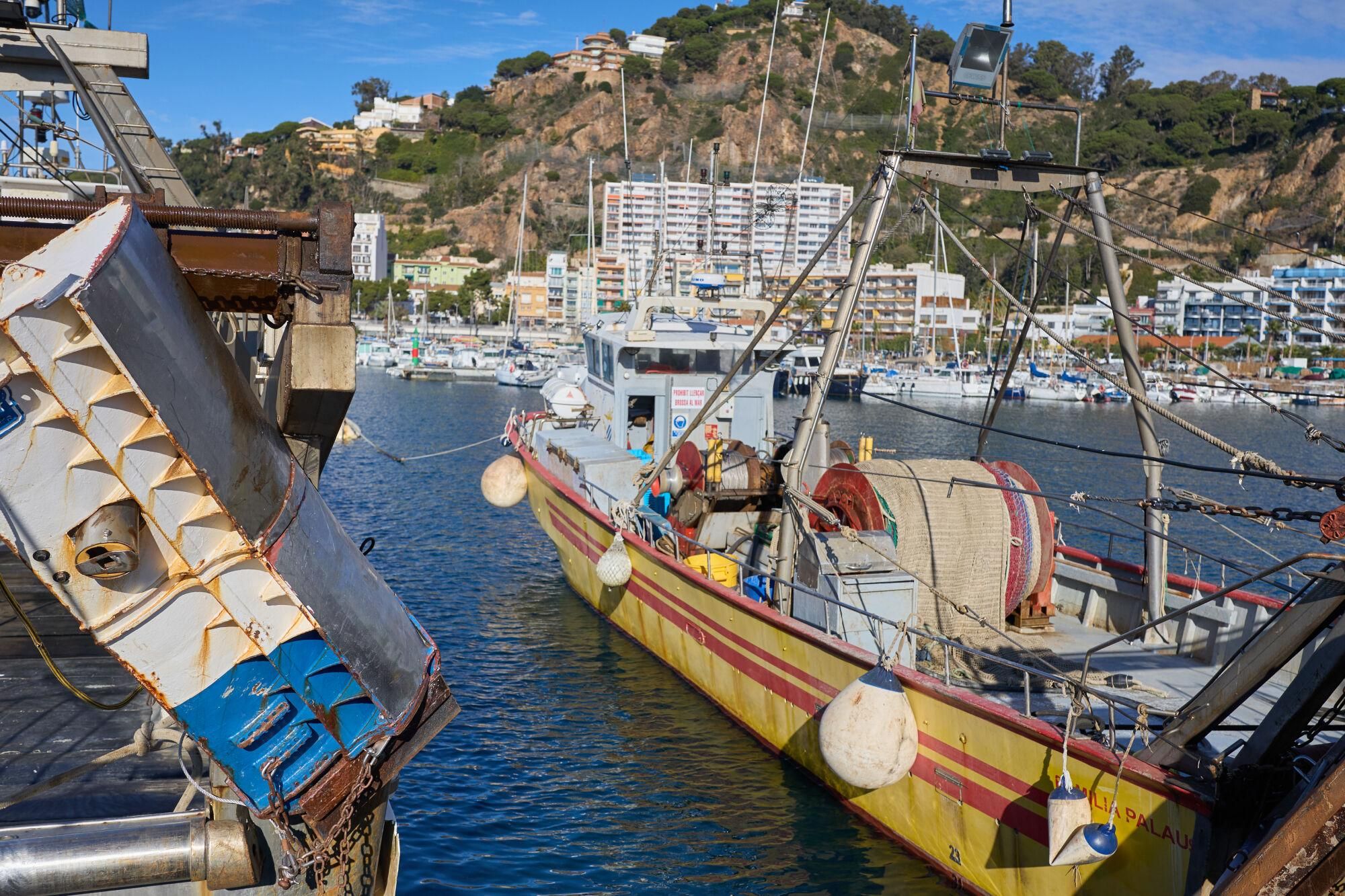 L'aturada de pescadors de Blanes, en imatges