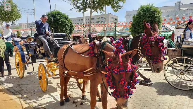 FOTOS | Todas las imágenes del miércoles de Feria