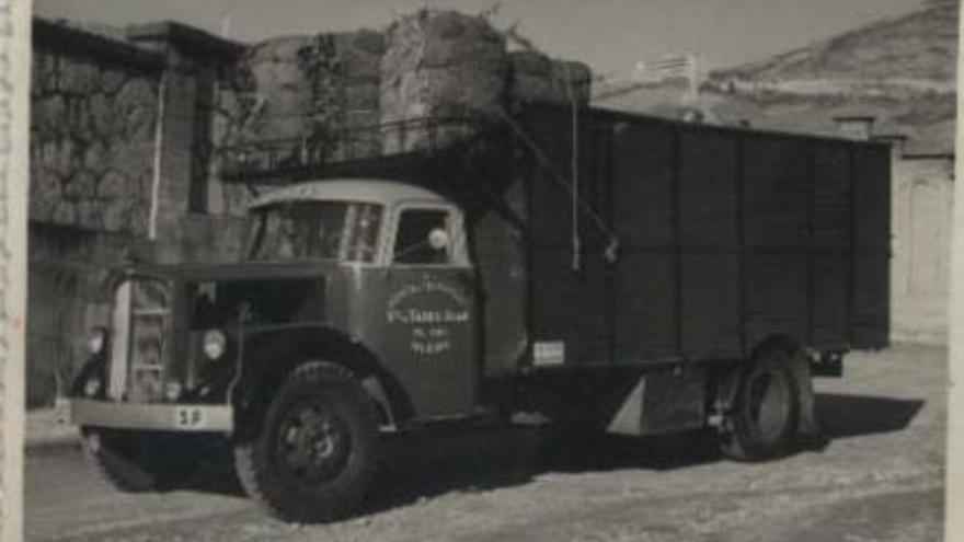 La flota de camiones de Viuda de Tadeo Juan S.A. a través del tiempo.