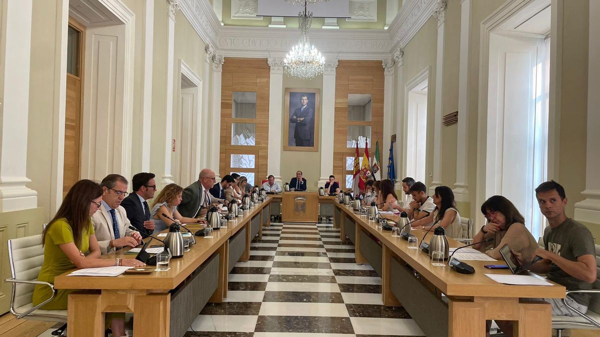 Imagen del pleno municipal extraordinario celebrado este viernes.