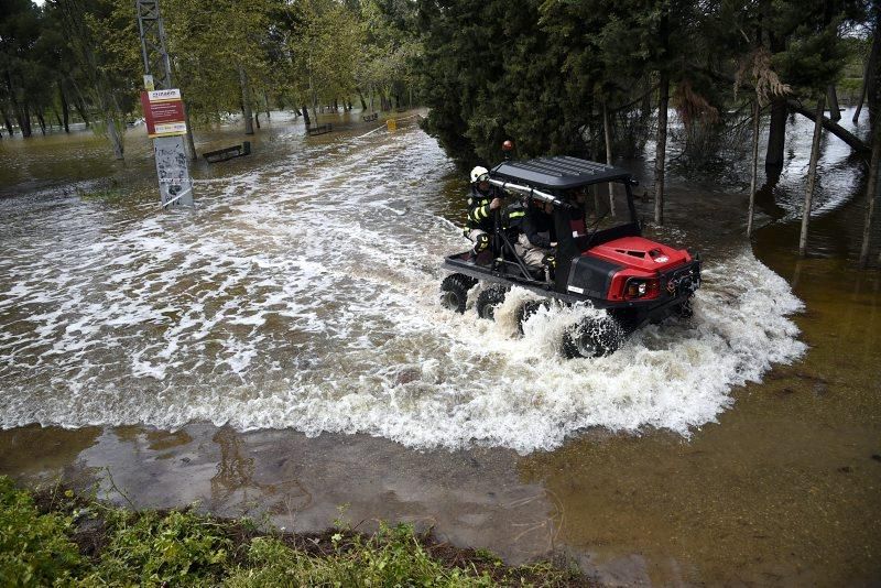 Impresionantes imágenes de la crecida del rio en Gelsa, Pinta y Quinto de Ebro