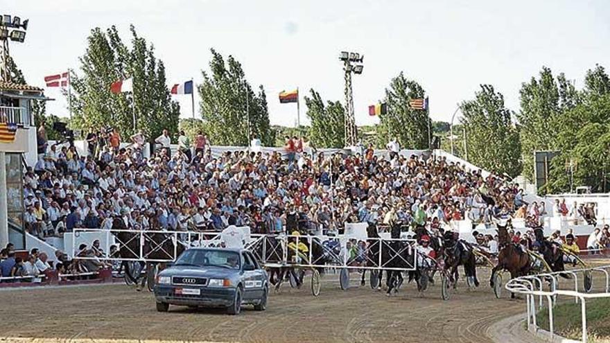 La tribuna descubierta del Hipòdrom de Manacor llena de público en los instantes previos a la salida de una carrera.