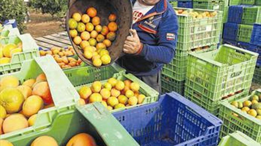 12.000 agricultores de Castellón, sin ayuda de la UE por la falta de apoyo de Conselleria