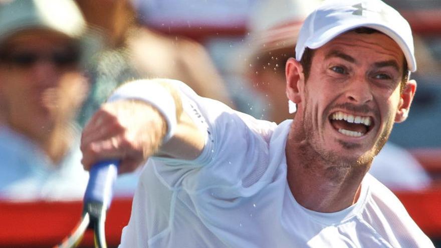 Andy Murray golpea la pelota durante la final.