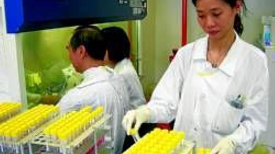 Hong Kong es la sede del laboratorio de referencia en epidemias víricas