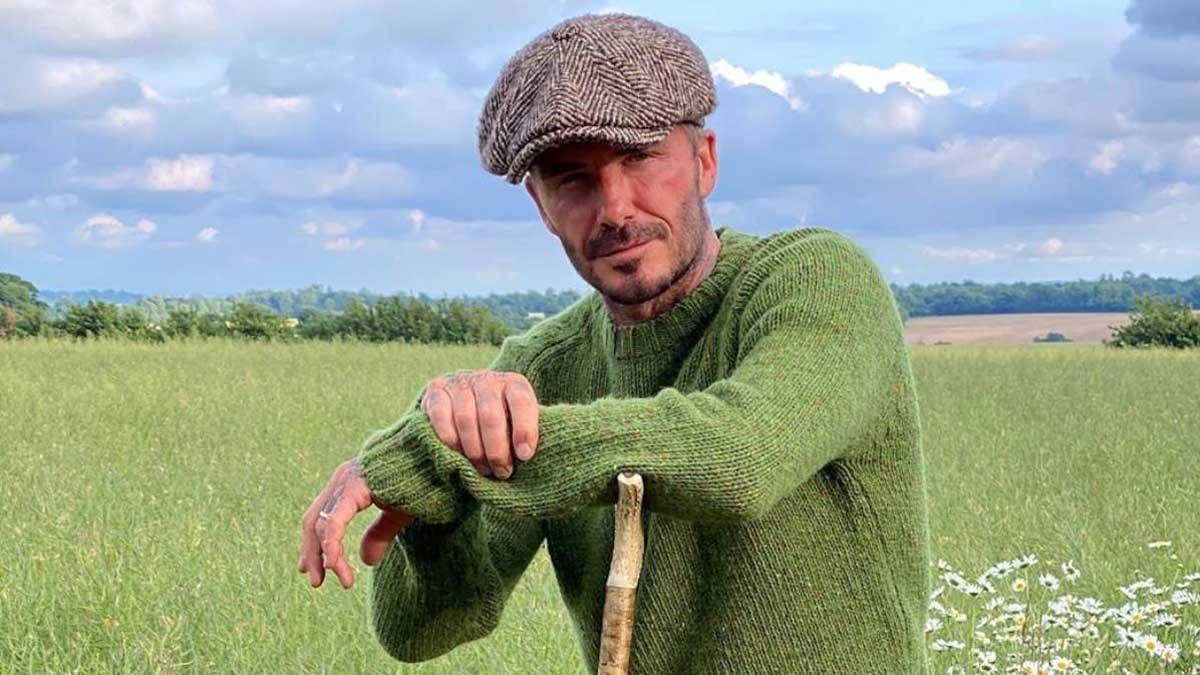 David Beckham venderá su propia miel orgánica