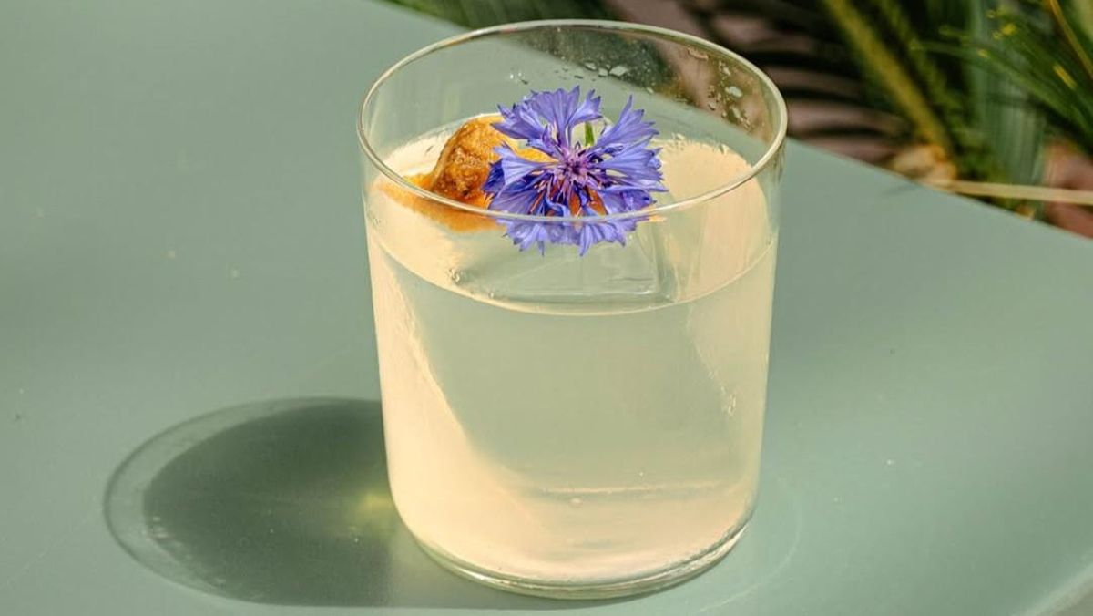 El Negroni veraniego de Paradiso. El Negroni veraniego de Paradiso.