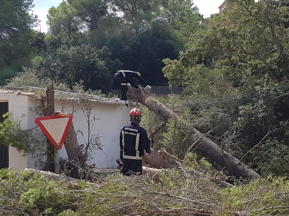 Nach Unwetter: Mallorca räumt auf