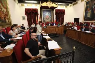 El PSOE de Elche se queda solo y niega en el pleno su apoyo a la UMH frente a Medicina de la UA