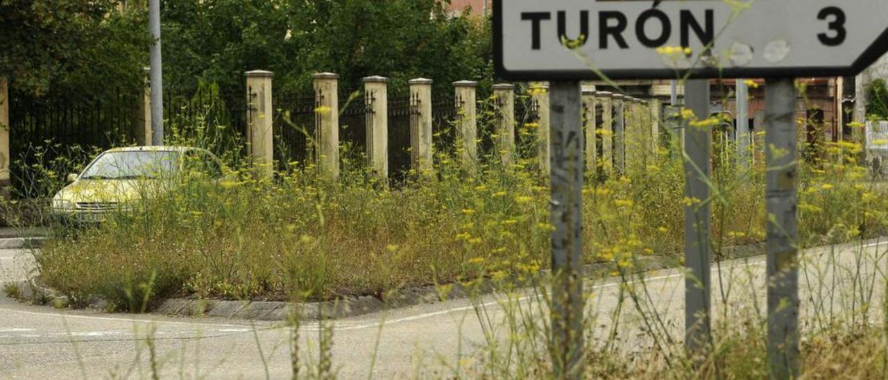 Vegetación en el cruce de la carretera de Turón, antes de los desbroces.