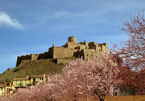 Cardona. Tot i el fred que fa aquests dies, la primavera ja és aquí, com es pot veure en aquesta instantània d’un castell de Cardona ben primaveral.