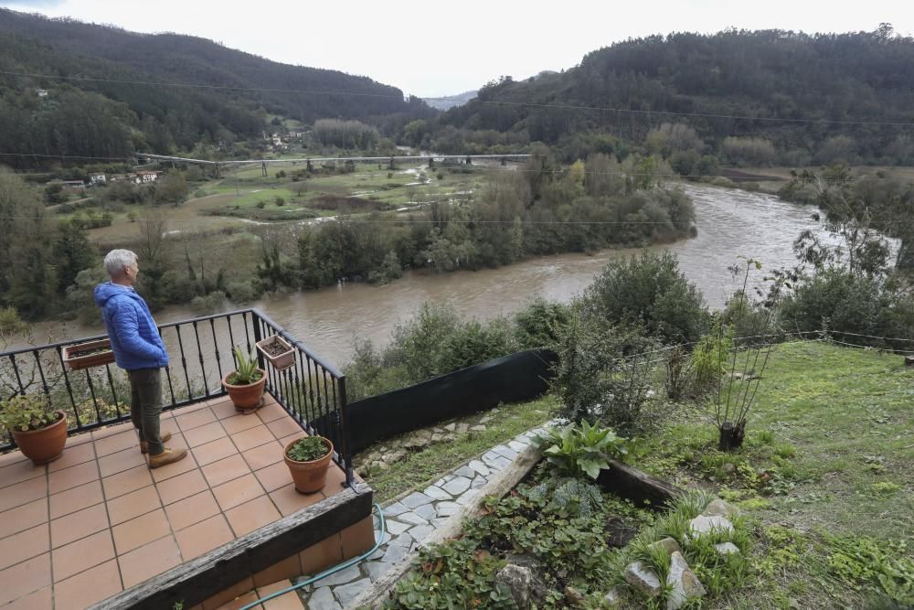 El río Nalón desbordado a su paso por Pravia y Quinzanas