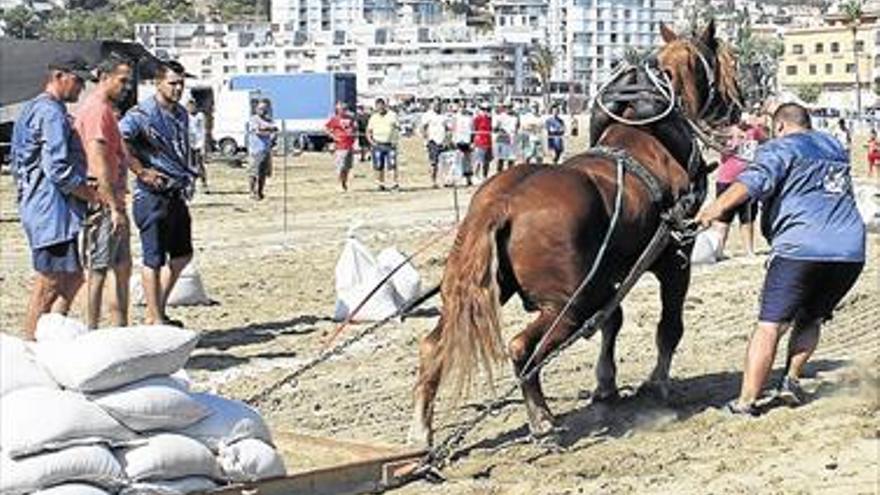 PEÑÍSCOLA OFRECE EL TIRO Y ARRASTRE EN LA PLAYA SUR