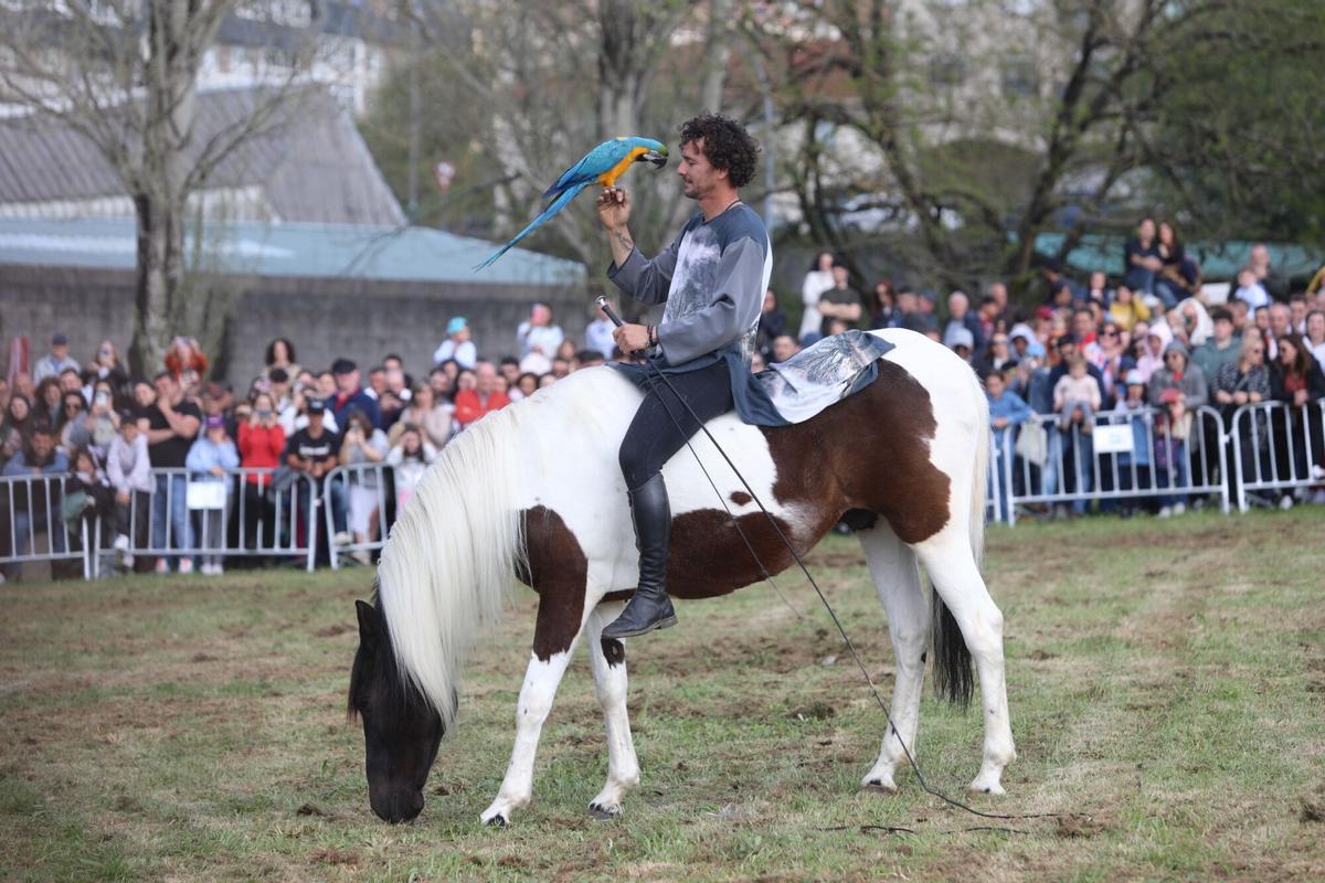La XXXV Feira do Cabalo de Lalín cerró ayer su segunda y última jornada con una notable afluencia de público
