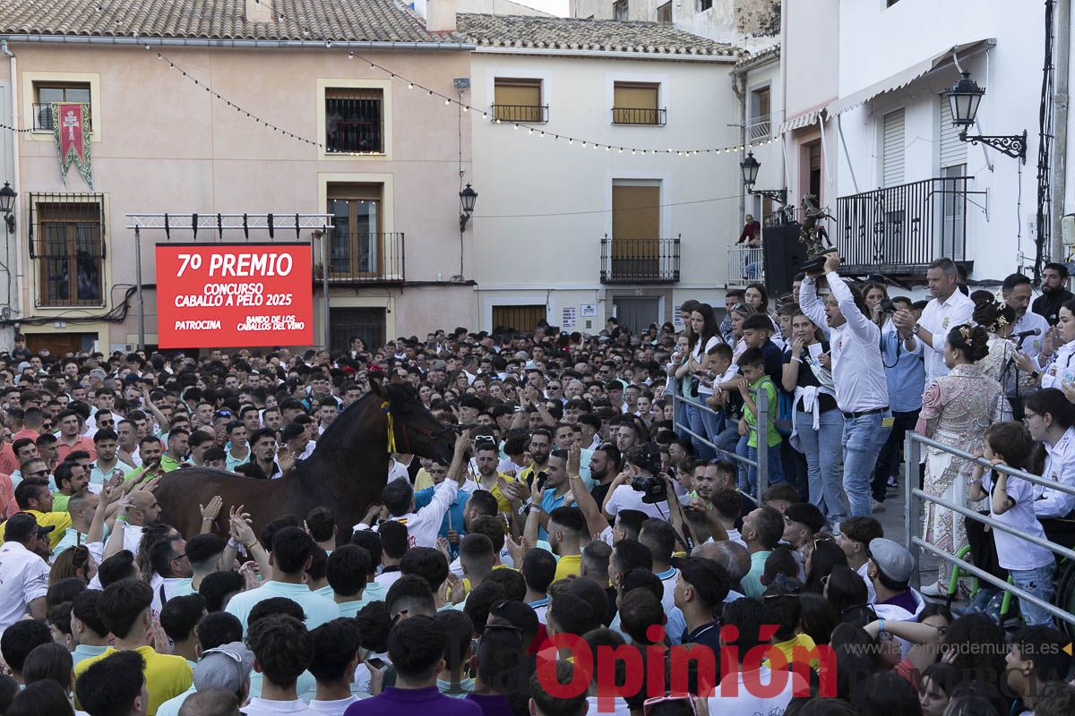 Fiestas de Caravaca | Entrega de premios del concurso morfológico