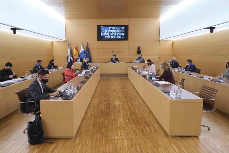 Pleno del Cabildo de Tenerife, 26.11.2021