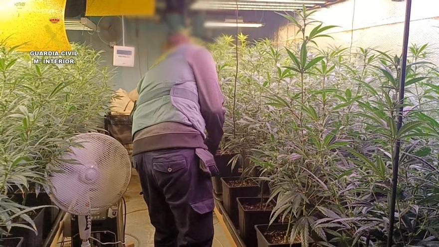 Coches de alta gama y coches de lujo: la vida a todo tren de un clan de Alzira dedicado a la venta de drogas