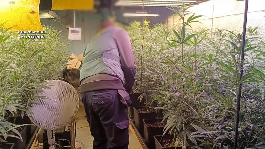 Coches de alta gama y coches de lujo: la vida a todo tren de un clan de Alzira dedicado a la venta de drogas