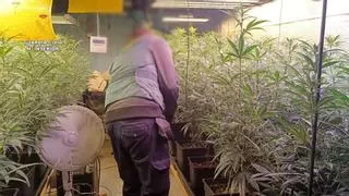 Coches de alta gama y casas de lujo: la vida a todo tren de un clan familiar dedicado a la venta de drogas