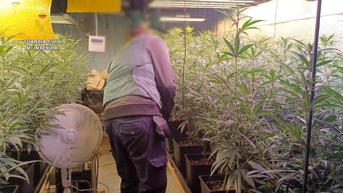 Coches de alta gama y coches de lujo: la vida a todo tren de un clan de Alzira dedicado a la venta de drogas