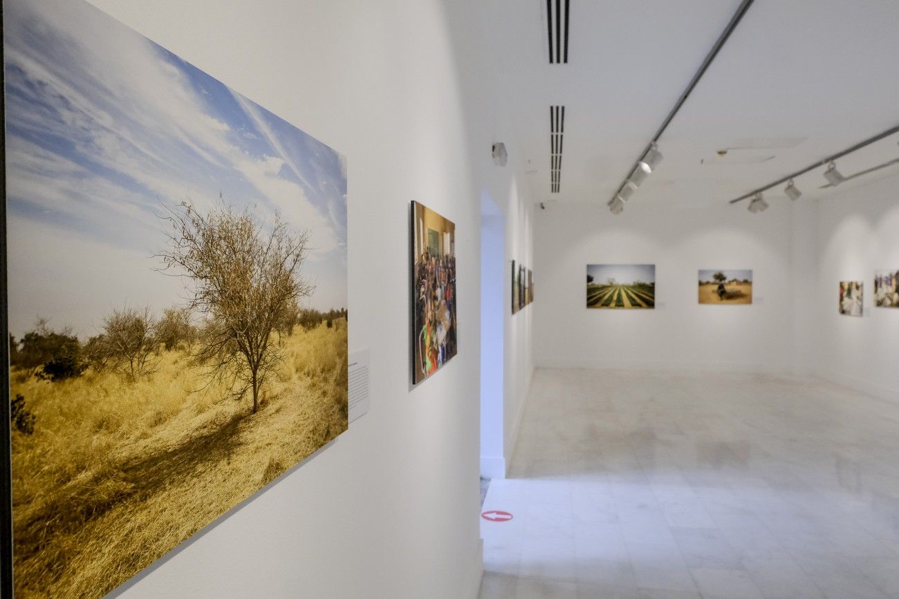 Exposición 'A la sombra de las acacias', en Casa África