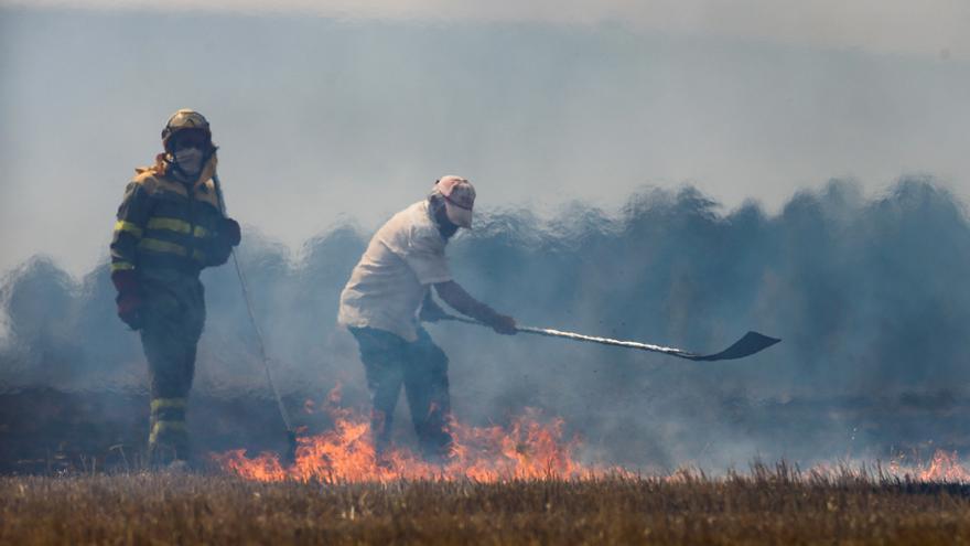 Accidentes y negligencias causan uno de cada tres incendios forestales en Extremadura