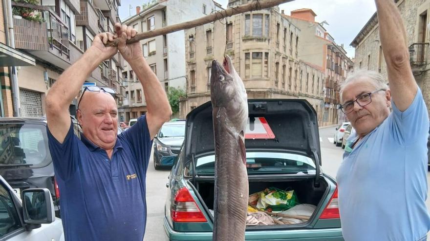 Manolo Gancedo saca un espectacular congrio de 32 kilos y 2,25 metros de la ría de Villaviciosa: "Nunca pesqué nada igual, es la mayor pieza de mi vida"