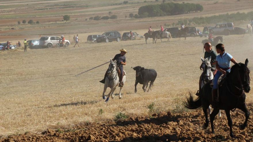 El trote se impone a caballo y a pie