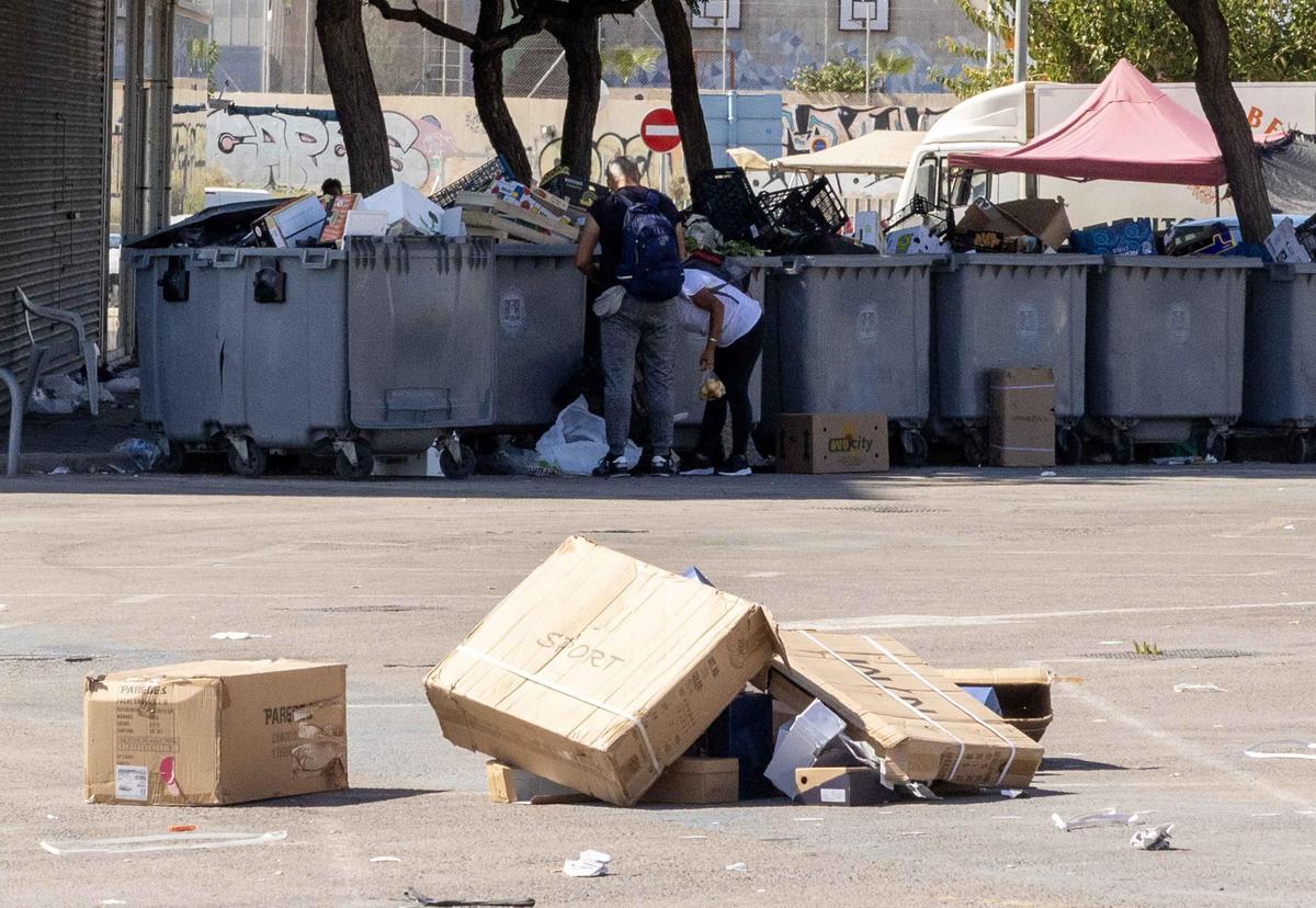 _MGL6659.jpg _MGL6659.jpg