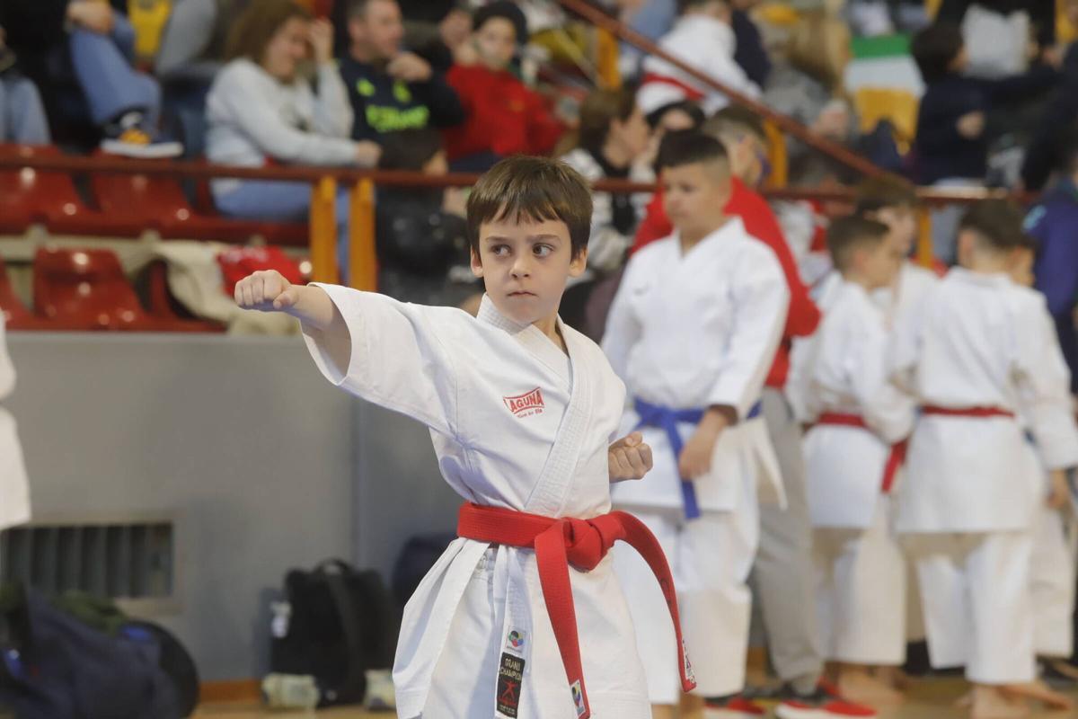 El Campeonato de Andalucía infantil de karate, en imágenes