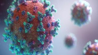 "La próxima pandemia es solo cuestión de tiempo" y estos virus podrían ser los responsables