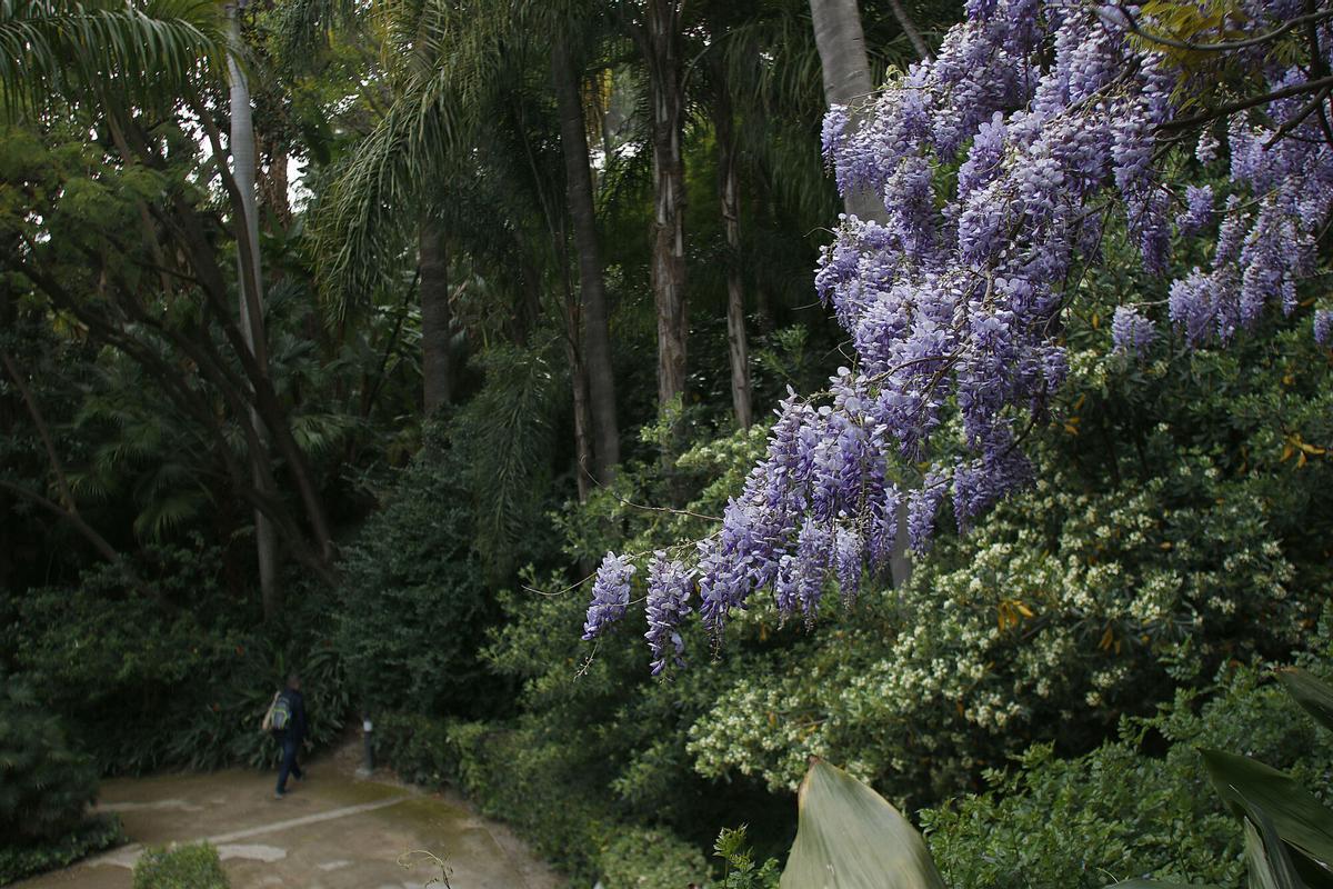 Finca de la Concepción