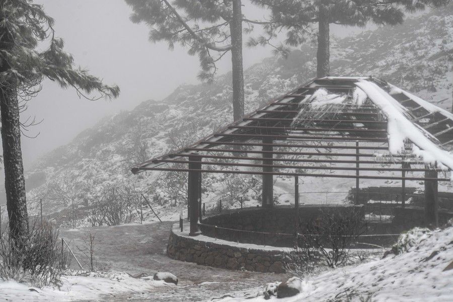 Visita a la cumbre nevada