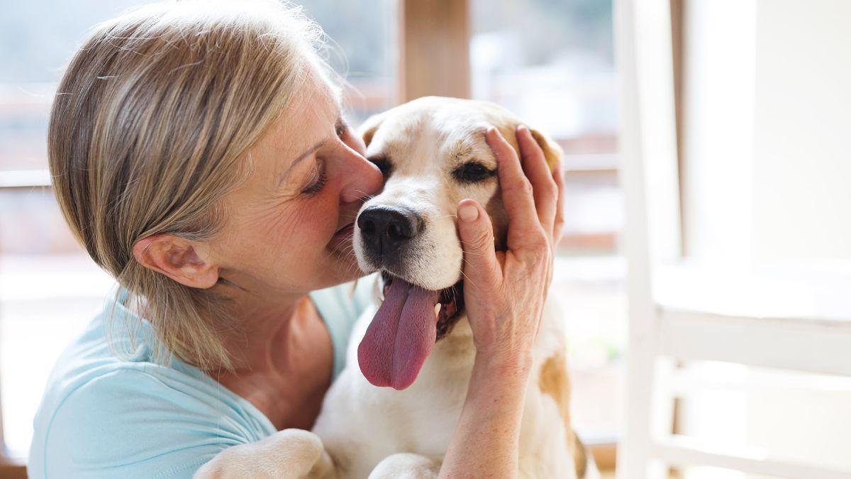 Los animales de compañía pueden ser uno de los principales motivos de conflictos entre vecinos