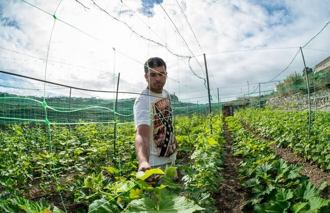 Entrevista al agricultor ecológico José ...