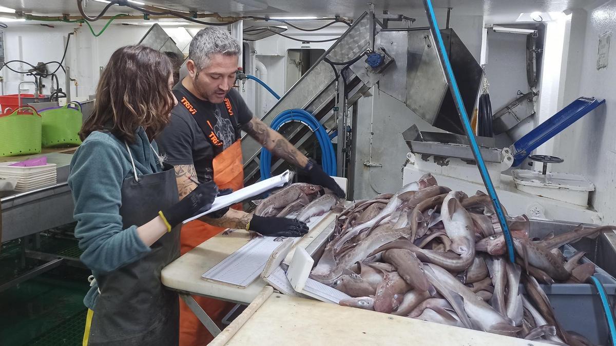 Parque de pesca de un buque oceanográfico