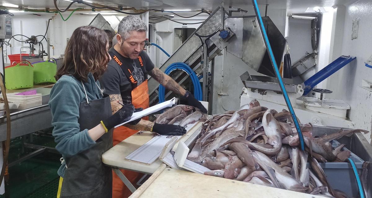 Parque de pesca de un buque oceanográfico
