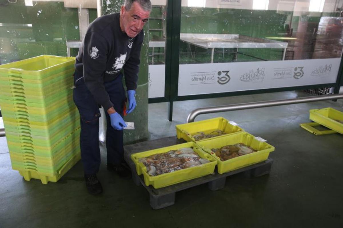 Un trabajador de la lonja de Bueu, ayer con algunas de las cajas descargadas ayer en el puerto.   | // S.Á.