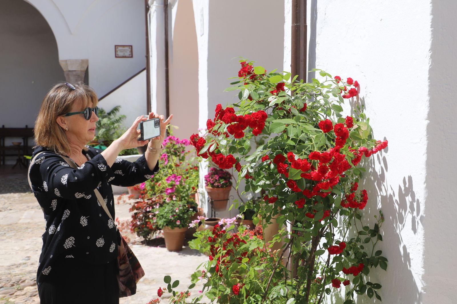 La Ruta 3 de los Patios de Córdoba, en imágenes