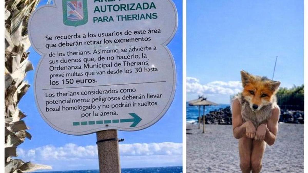 Fotomontaje ‘fake’ extraído de la cuenta de Facebook ‘Incidencias Güímar’