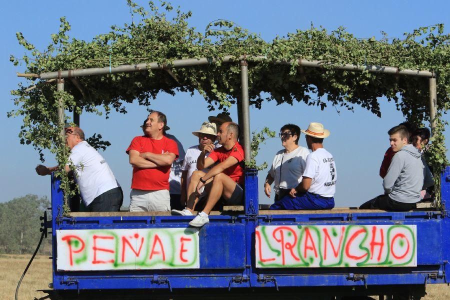 Fiestas en Moraleja del Vino: Encierro