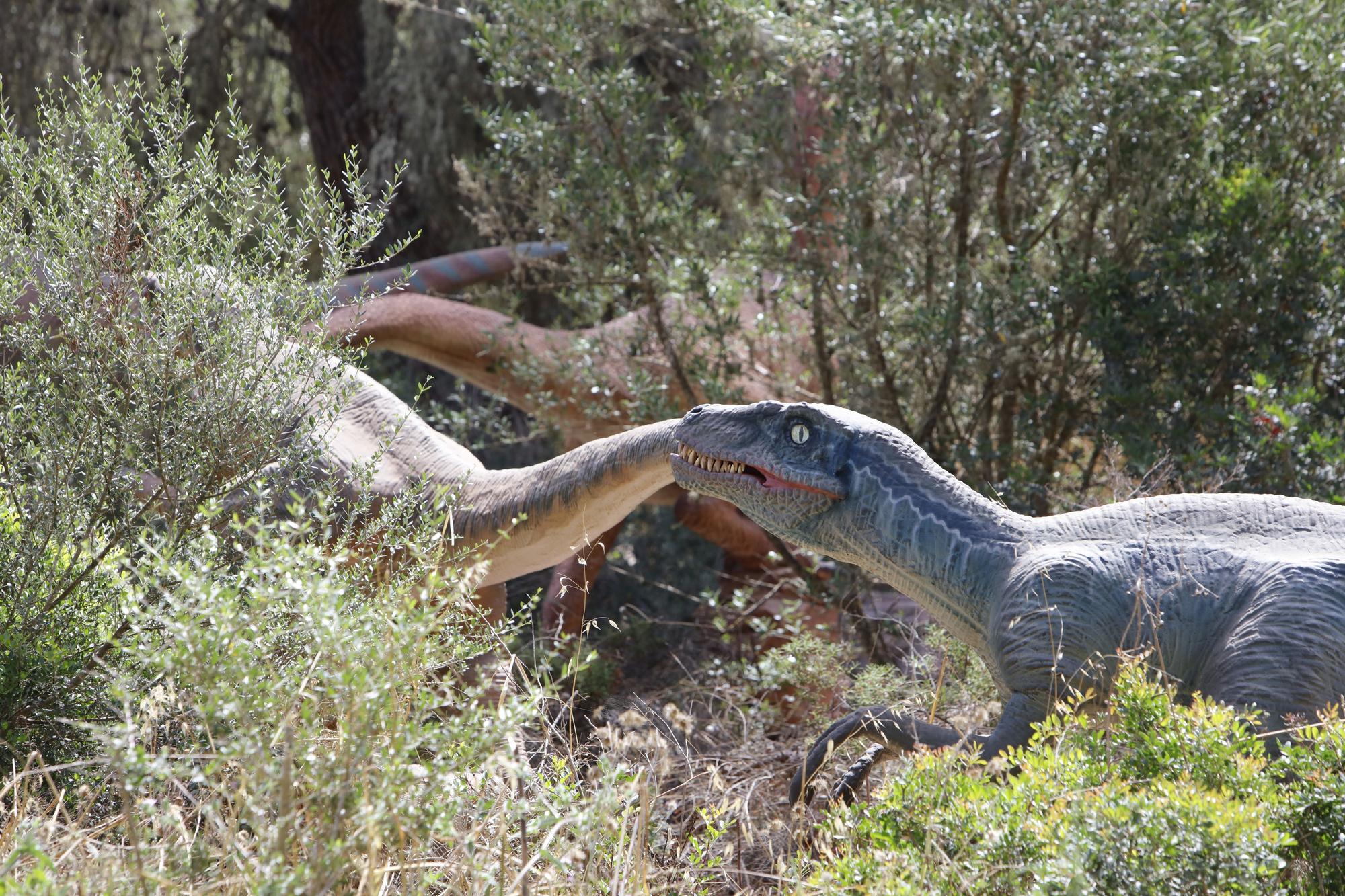 Besuch im neuen Dino-Park auf Mallorca