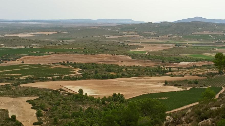 La macrogranja del Monte Arabí escapa a la moratoria de Castilla-La Mancha
