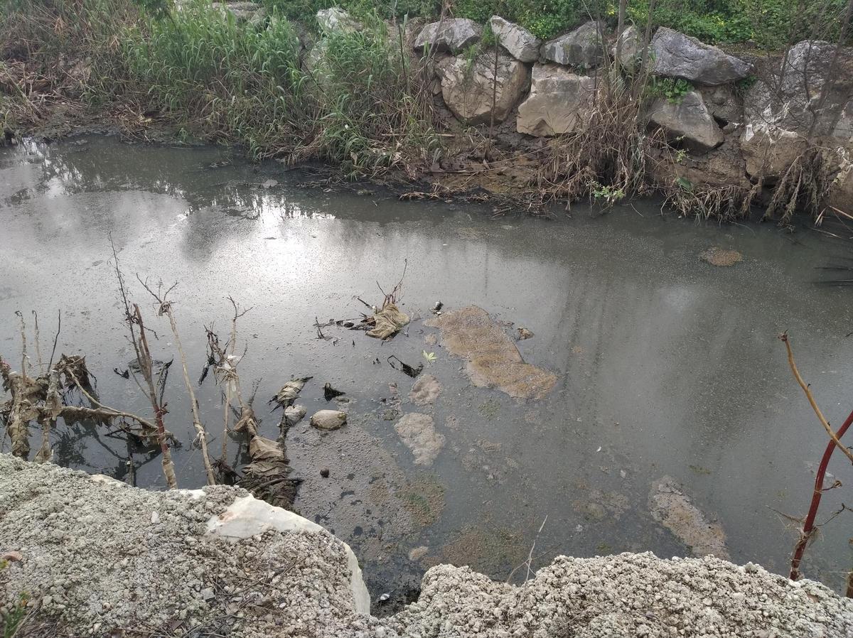 Agua estancada, junto al vertido.