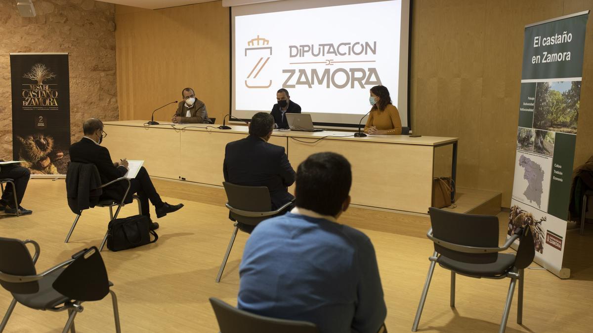 Primera reunión de la Mesa del Castaño, en Zamora.