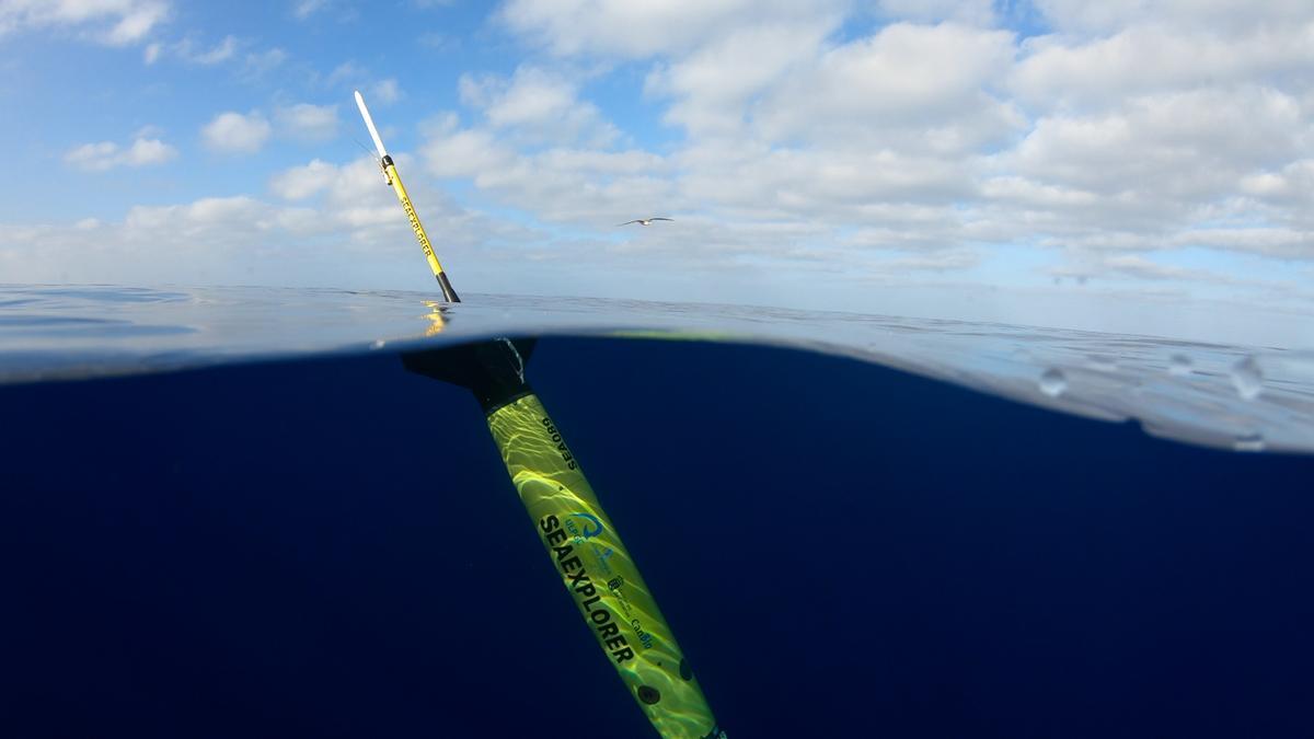 Instantánea del Glider lanzado.