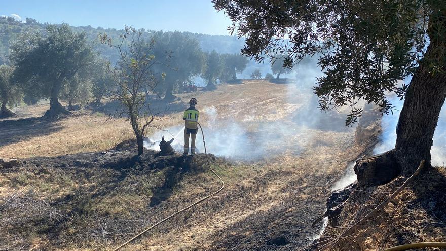 Los bomberos sofocan un incendio forestal en Calaceite