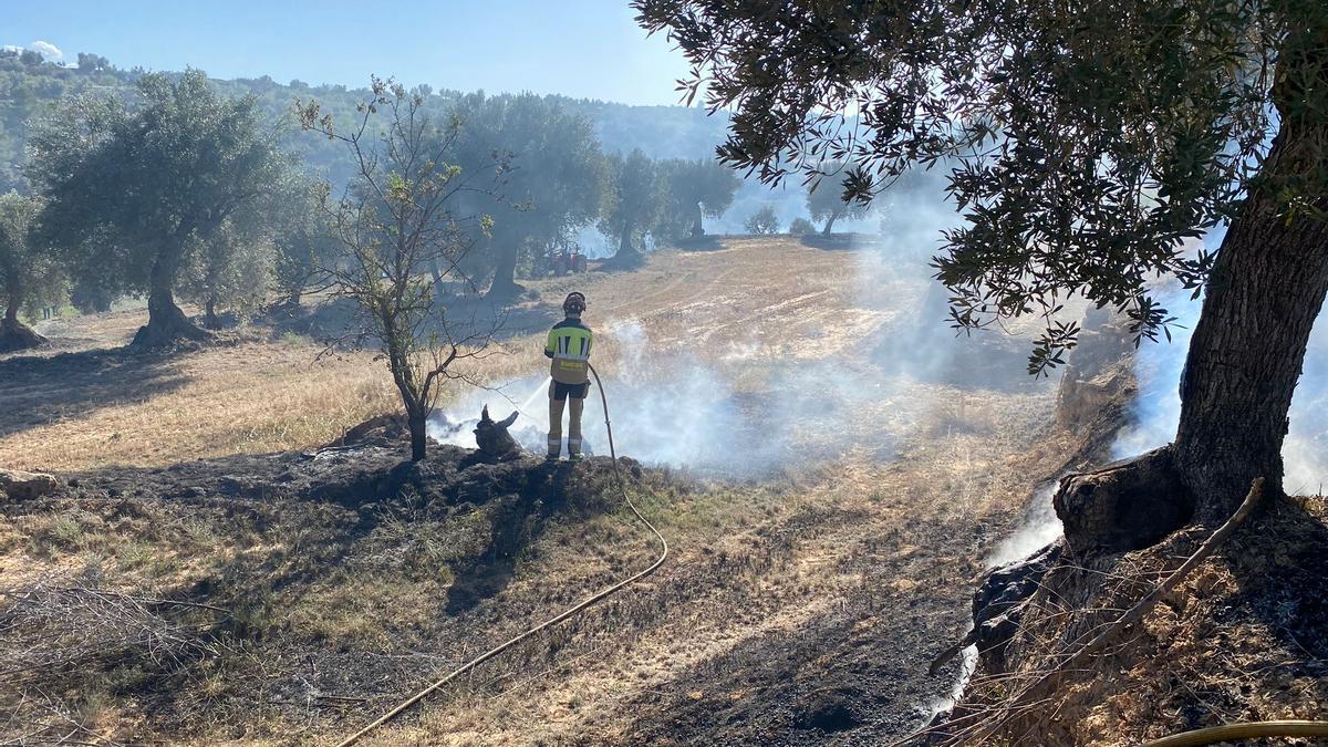 Bomberos de la DPT sofocando el incendio en oliveras del término municipal de Calaceite