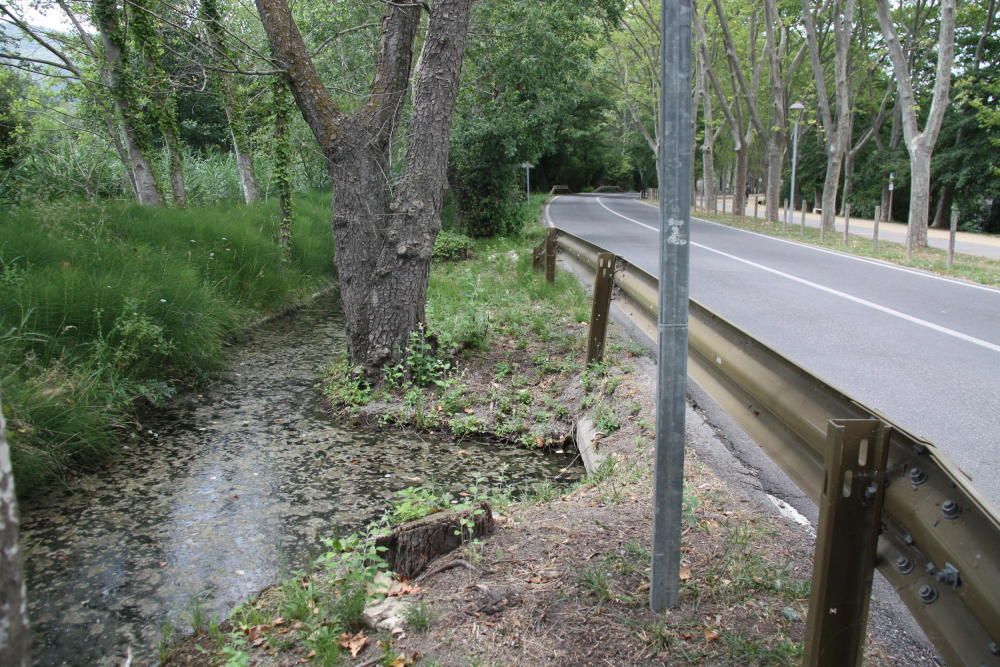 Capturen una tortuga a l’Estany de Banyoles que era un perill